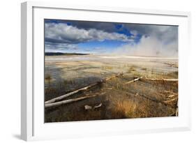 Fallen Lodgepole Pines-Eleanor-Framed Photographic Print