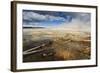 Fallen Lodgepole Pines-Eleanor-Framed Photographic Print