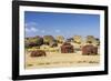 Fallen Moai and Red Scoria Topknots at Ura Uranga Te Mahina Ceremonial Site-Michael Nolan-Framed Photographic Print