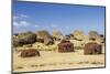 Fallen Moai and Red Scoria Topknots at Ura Uranga Te Mahina Ceremonial Site-Michael Nolan-Mounted Photographic Print