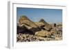 Fallen Moai at Ahu Akahanga-Michael Nolan-Framed Photographic Print