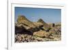 Fallen Moai at Ahu Akahanga-Michael Nolan-Framed Photographic Print