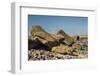 Fallen Moai at Ahu Akahanga-Michael Nolan-Framed Photographic Print