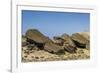 Fallen Moai at Ura Uranga Te Mahina Ceremonial Site-Michael Nolan-Framed Photographic Print