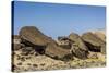 Fallen Moai at Ura Uranga Te Mahina Ceremonial Site-Michael Nolan-Stretched Canvas