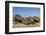 Fallen Moai at Ura Uranga Te Mahina Ceremonial Site-Michael Nolan-Framed Photographic Print