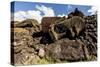 Fallen Moai Head and Red Scoria Topknot at Ahu Akahanga-Michael Nolan-Stretched Canvas