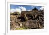 Fallen Moai Head and Red Scoria Topknot at Ahu Akahanga-Michael Nolan-Framed Photographic Print