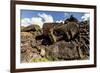 Fallen Moai Head and Red Scoria Topknot at Ahu Akahanga-Michael Nolan-Framed Photographic Print