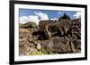 Fallen Moai Head and Red Scoria Topknot at Ahu Akahanga-Michael Nolan-Framed Photographic Print