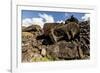 Fallen Moai Head and Red Scoria Topknot at Ahu Akahanga-Michael Nolan-Framed Photographic Print
