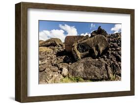 Fallen Moai Head and Red Scoria Topknot at Ahu Akahanga-Michael Nolan-Framed Photographic Print