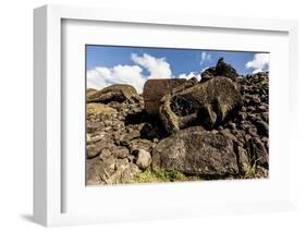 Fallen Moai Head and Red Scoria Topknot at Ahu Akahanga-Michael Nolan-Framed Photographic Print