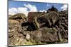 Fallen Moai Head and Red Scoria Topknot at Ahu Akahanga-Michael Nolan-Mounted Photographic Print