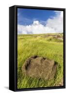 Fallen Moai Head at the Archaeological Site at Ahu Vinapu-Michael Nolan-Framed Stretched Canvas