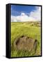 Fallen Moai Head at the Archaeological Site at Ahu Vinapu-Michael Nolan-Framed Stretched Canvas