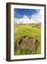 Fallen Moai Head at the Archaeological Site at Ahu Vinapu-Michael Nolan-Framed Photographic Print