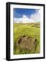 Fallen Moai Head at the Archaeological Site at Ahu Vinapu-Michael Nolan-Framed Photographic Print