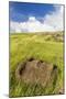 Fallen Moai Head at the Archaeological Site at Ahu Vinapu-Michael Nolan-Mounted Photographic Print