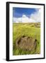 Fallen Moai Head at the Archaeological Site at Ahu Vinapu-Michael Nolan-Framed Photographic Print