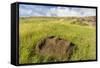 Fallen Moai Head at the Archaeological Site at Ahu Vinapu-Michael Nolan-Framed Stretched Canvas