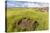 Fallen Moai Head at the Archaeological Site at Ahu Vinapu-Michael Nolan-Stretched Canvas