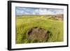 Fallen Moai Head at the Archaeological Site at Ahu Vinapu-Michael Nolan-Framed Photographic Print