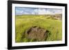 Fallen Moai Head at the Archaeological Site at Ahu Vinapu-Michael Nolan-Framed Photographic Print