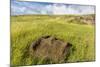 Fallen Moai Head at the Archaeological Site at Ahu Vinapu-Michael Nolan-Mounted Photographic Print