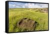 Fallen Moai Head at the Archaeological Site at Ahu Vinapu-Michael Nolan-Framed Stretched Canvas