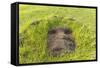 Fallen Moai Head at the Archaeological Site at Ahu Vinapu-Michael Nolan-Framed Stretched Canvas