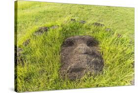 Fallen Moai Head at the Archaeological Site at Ahu Vinapu-Michael Nolan-Stretched Canvas