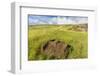 Fallen Moai Head at the Archaeological Site at Ahu Vinapu-Michael Nolan-Framed Photographic Print