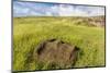 Fallen Moai Head at the Archaeological Site at Ahu Vinapu-Michael Nolan-Mounted Photographic Print