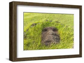 Fallen Moai Head at the Archaeological Site at Ahu Vinapu-Michael Nolan-Framed Photographic Print