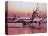Fallen Oak Silhouette at Sunrise-James Randklev-Stretched Canvas