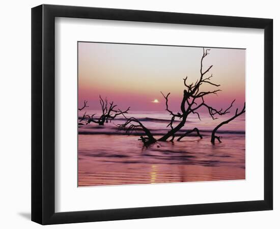 Fallen Oak Silhouette at Sunrise-James Randklev-Framed Photographic Print