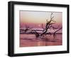 Fallen Oak Silhouette at Sunrise-James Randklev-Framed Photographic Print
