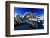 Fallen Pine Tree on Sentinel Dome-George Oze-Framed Photographic Print