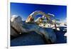 Fallen Pine Tree on Sentinel Dome-George Oze-Framed Photographic Print