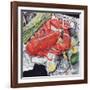 Fallen Star, 1998-Sandra Lawrence-Framed Giclee Print