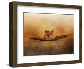 Fallen Together-Jai Johnson-Framed Giclee Print