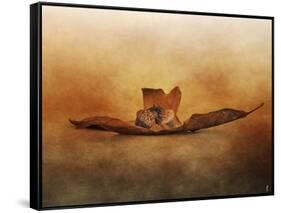 Fallen Together-Jai Johnson-Framed Stretched Canvas