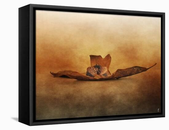 Fallen Together-Jai Johnson-Framed Stretched Canvas