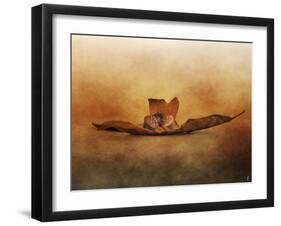 Fallen Together-Jai Johnson-Framed Giclee Print