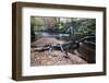 Fallen Tree by the River Nidd at Knaresborough-Mark Sunderland-Framed Photographic Print