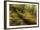 Fallen Tree in Garajonay National Park-null-Framed Photographic Print