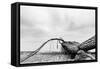 Fallen Tree on the Beach after Storm. Sea on a Cloudy Day. Black and White, far Horizon.-Michal Bednarek-Framed Stretched Canvas