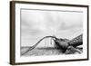 Fallen Tree on the Beach after Storm. Sea on a Cloudy Day. Black and White, far Horizon.-Michal Bednarek-Framed Photographic Print