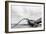 Fallen Tree on the Beach after Storm. Sea on a Cloudy Day. Black and White, far Horizon.-Michal Bednarek-Framed Photographic Print